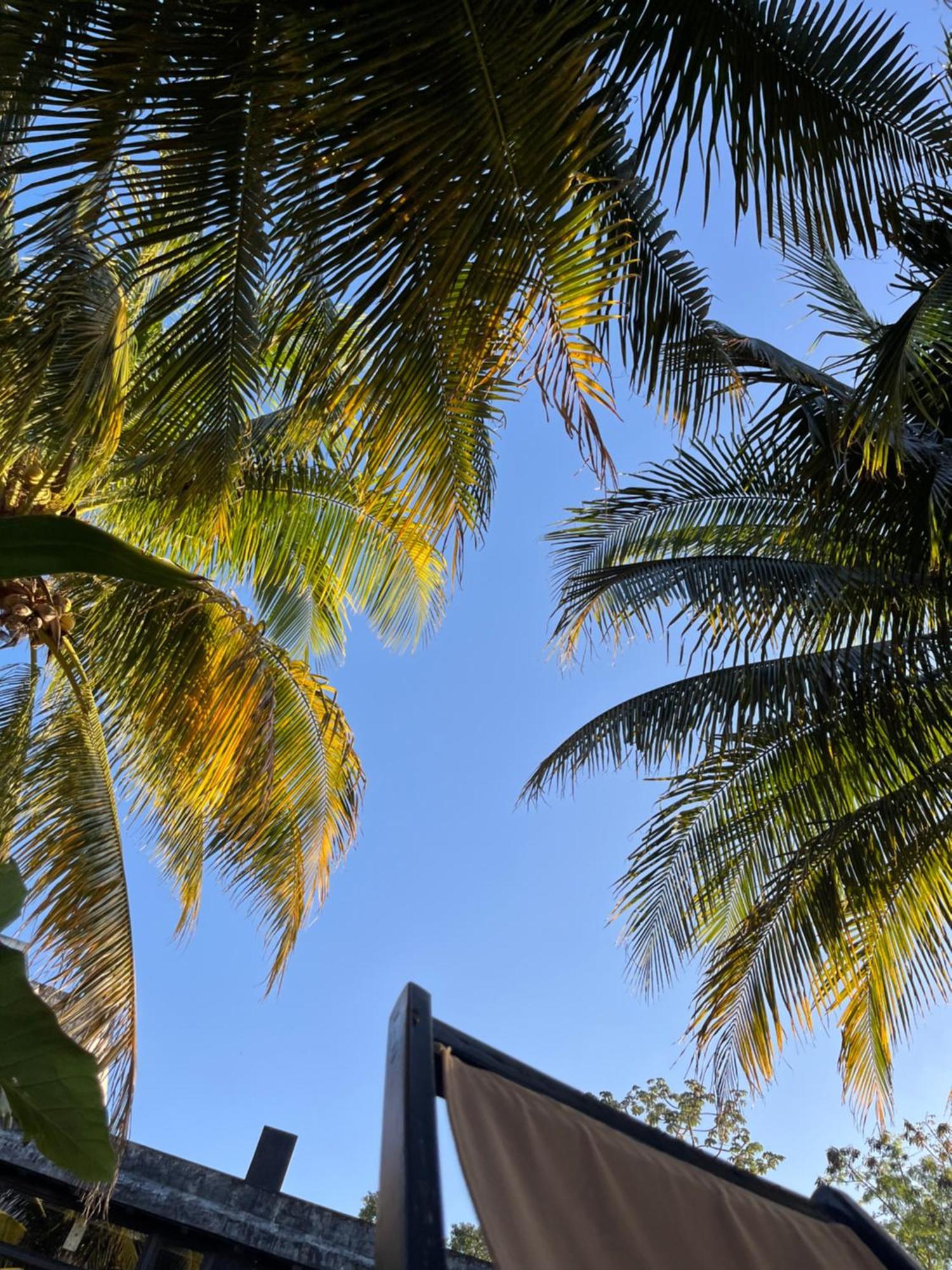 Lumina Tulum